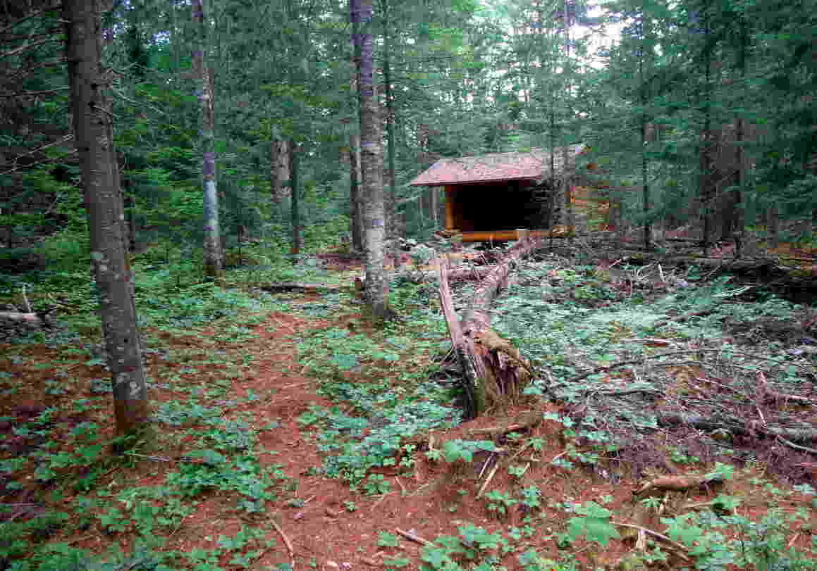 Wolf Pond Lean-to