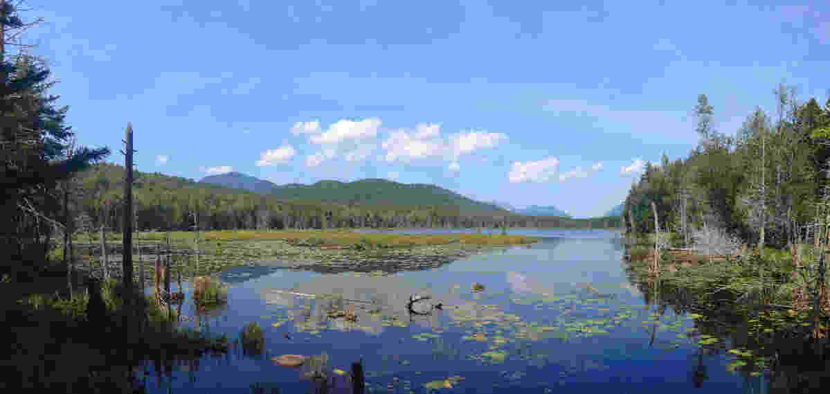View over Boreas Ponds from West Shore Road